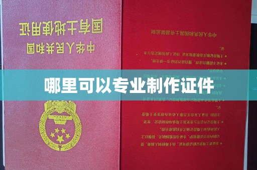 盐山哪里可以专业制作证件