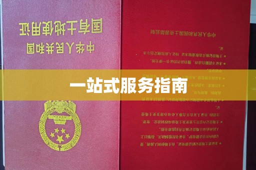 盐山一站式服务指南