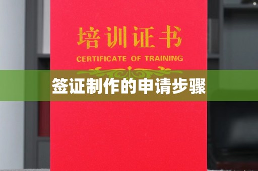 盐山签证制作的申请步骤