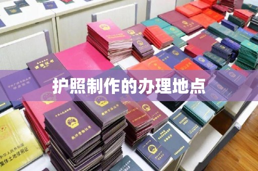 盐山护照制作的办理地点