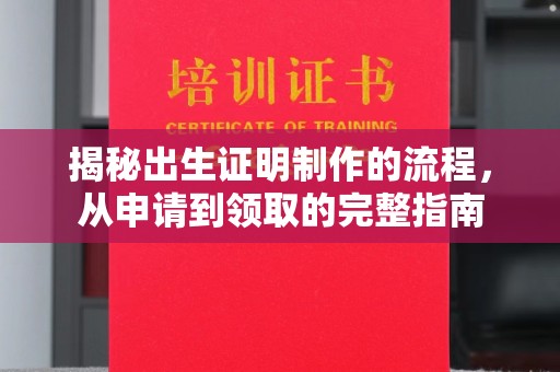 盐山揭秘出生证明制作的流程，从申请到领取的完整指南