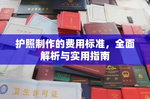 盐山护照制作的费用标准，全面解析与实用指南