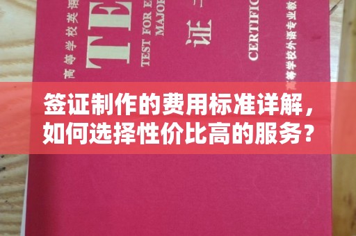 盐山签证制作的费用标准详解，如何选择性价比高的服务？