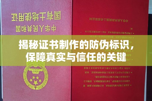 盐山揭秘证书制作的防伪标识，保障真实与信任的关键